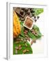 Cocoa Pod With Cocoa Beans, Powder, And Chocolates-vd808bs-Framed Photographic Print