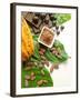 Cocoa Pod With Cocoa Beans, Powder, And Chocolates-vd808bs-Framed Photographic Print