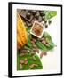 Cocoa Pod With Cocoa Beans, Powder, And Chocolates-vd808bs-Framed Photographic Print