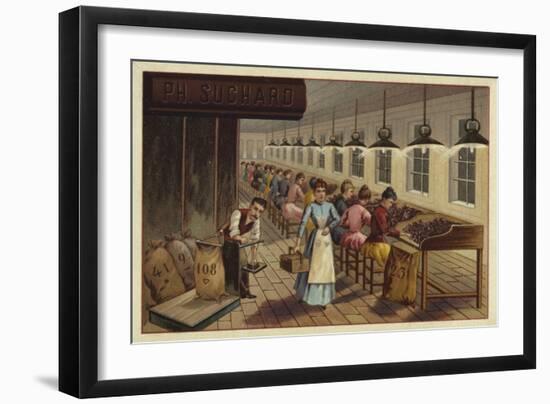 Cocoa Processing Plant-null-Framed Giclee Print