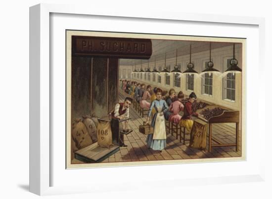 Cocoa Processing Plant-null-Framed Giclee Print