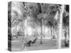 Cocoanut Grove at Mccormicks, Lake Worth, Fla.-null-Stretched Canvas