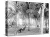 Cocoanut Grove at Mccormicks, Lake Worth, Fla.-null-Stretched Canvas