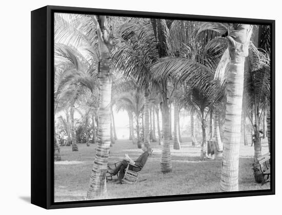 Cocoanut Grove at Mccormicks, Lake Worth, Fla.-null-Framed Stretched Canvas