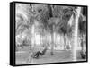 Cocoanut Grove at Mccormicks, Lake Worth, Fla.-null-Framed Stretched Canvas