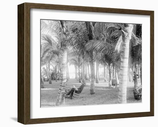 Cocoanut Grove at Mccormicks, Lake Worth, Fla.-null-Framed Photo