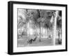 Cocoanut Grove at Mccormicks, Lake Worth, Fla.-null-Framed Photo