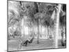 Cocoanut Grove at Mccormicks, Lake Worth, Fla.-null-Mounted Photo