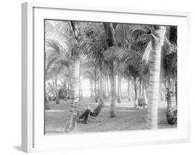 Cocoanut Grove at Mccormicks, Lake Worth, Fla.-null-Framed Photo