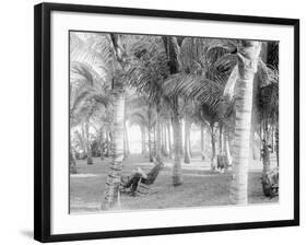 Cocoanut Grove at Mccormicks, Lake Worth, Fla.-null-Framed Photo