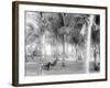 Cocoanut Grove at Mccormicks, Lake Worth, Fla.-null-Framed Photo