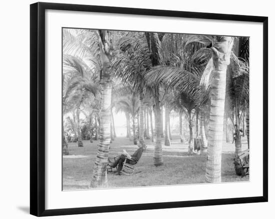 Cocoanut Grove at Mccormicks, Lake Worth, Fla.-null-Framed Photo