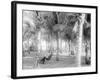 Cocoanut Grove at Mccormicks, Lake Worth, Fla.-null-Framed Photo