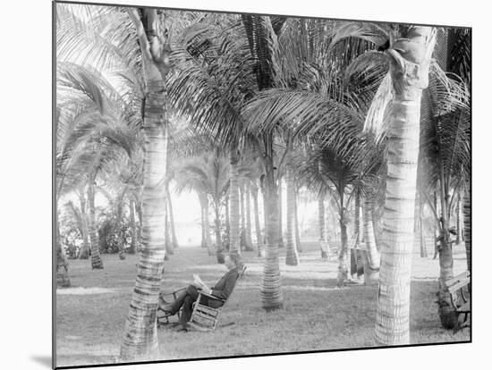 Cocoanut Grove at Mccormicks, Lake Worth, Fla.-null-Mounted Photo