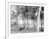 Cocoanut Grove at Mccormicks, Lake Worth, Fla.-null-Framed Photo