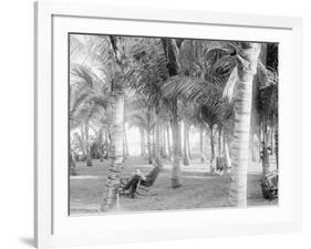 Cocoanut Grove at Mccormicks, Lake Worth, Fla.-null-Framed Photo