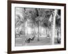 Cocoanut Grove at Mccormicks, Lake Worth, Fla.-null-Framed Photo