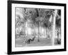 Cocoanut Grove at Mccormicks, Lake Worth, Fla.-null-Framed Photo