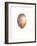 Coconut, 2015-Lincoln Seligman-Framed Giclee Print