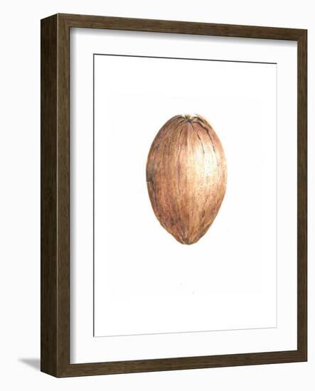 Coconut, 2015-Lincoln Seligman-Framed Giclee Print