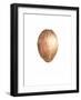 Coconut, 2015-Lincoln Seligman-Framed Giclee Print