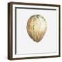 Coconut, 2015-Lincoln Seligman-Framed Giclee Print