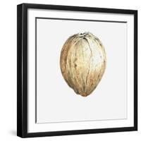 Coconut, 2015-Lincoln Seligman-Framed Giclee Print