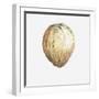 Coconut, 2015-Lincoln Seligman-Framed Giclee Print