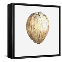 Coconut, 2015-Lincoln Seligman-Framed Stretched Canvas