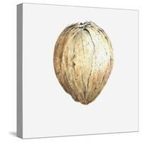 Coconut, 2015-Lincoln Seligman-Stretched Canvas