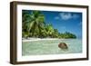 Coconut Floating Ashore on to Tropical Island-null-Framed Photographic Print