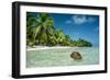 Coconut Floating Ashore on to Tropical Island-null-Framed Photographic Print