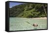 Coconut Floating in Lagoon, Micronesia, Palau-Reinhard Dirscherl-Framed Stretched Canvas