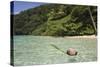 Coconut Floating in Lagoon, Micronesia, Palau-Reinhard Dirscherl-Stretched Canvas