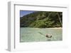 Coconut Floating in Lagoon, Micronesia, Palau-Reinhard Dirscherl-Framed Photographic Print