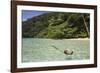 Coconut Floating in Lagoon, Micronesia, Palau-Reinhard Dirscherl-Framed Photographic Print