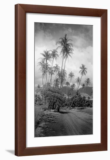 Coconut Grove, Lahaina, 1910-Ray Jerome Baker-Framed Art Print