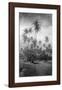 Coconut Grove, Lahaina, 1910-Ray Jerome Baker-Framed Art Print