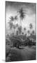 Coconut Grove, Lahaina, 1910-Ray Jerome Baker-Mounted Art Print