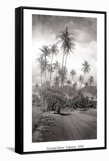 Coconut Grove, Lahaina, 1910-Ray Jerome Baker-Framed Stretched Canvas