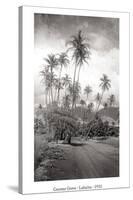 Coconut Grove, Lahaina, 1910-Ray Jerome Baker-Stretched Canvas