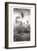 Coconut Grove, Lahaina, 1910-Ray Jerome Baker-Framed Art Print