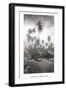 Coconut Grove, Lahaina, 1910-Ray Jerome Baker-Framed Art Print