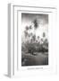 Coconut Grove, Lahaina, 1910-Ray Jerome Baker-Framed Art Print