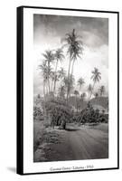 Coconut Grove, Lahaina, 1910-Ray Jerome Baker-Framed Stretched Canvas