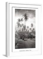 Coconut Grove, Lahaina, 1910-Ray Jerome Baker-Framed Art Print