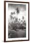 Coconut Grove, Lahaina, 1910-Ray Jerome Baker-Framed Art Print