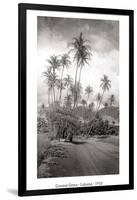 Coconut Grove, Lahaina, 1910-Ray Jerome Baker-Framed Art Print