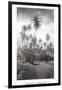 Coconut Grove, Lahaina, 1910-Ray Jerome Baker-Framed Art Print