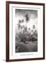 Coconut Grove, Lahaina, 1910-Ray Jerome Baker-Framed Art Print